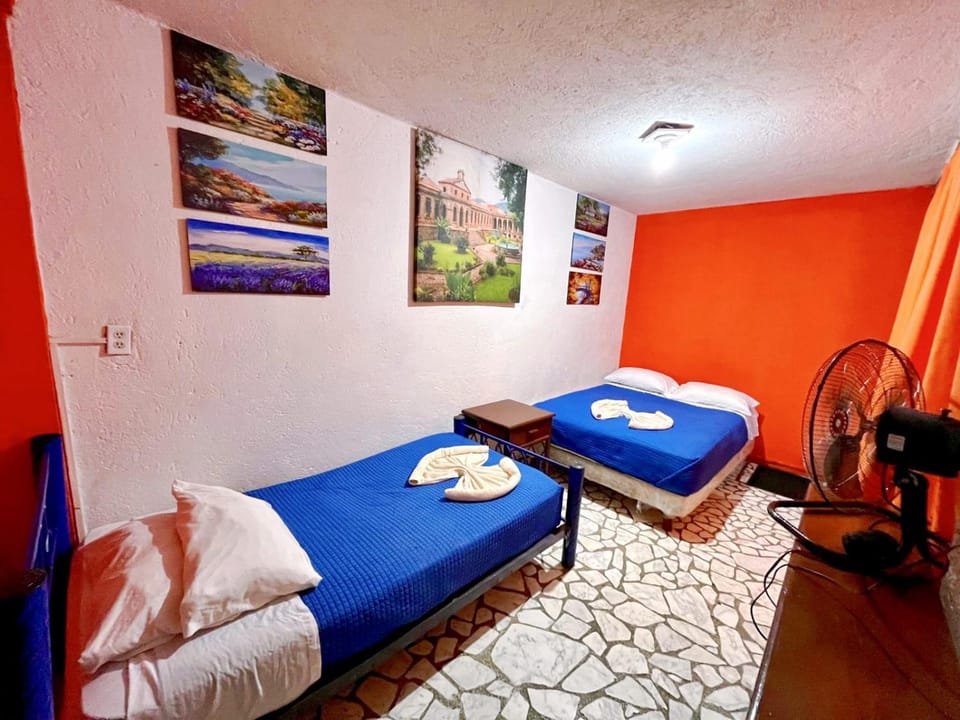 Casita del Árbol Vacation rental in Mexico City