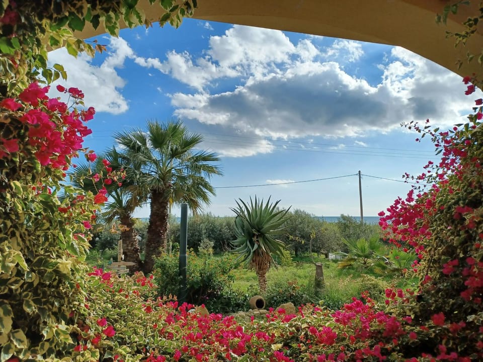 Winter, Garden view
