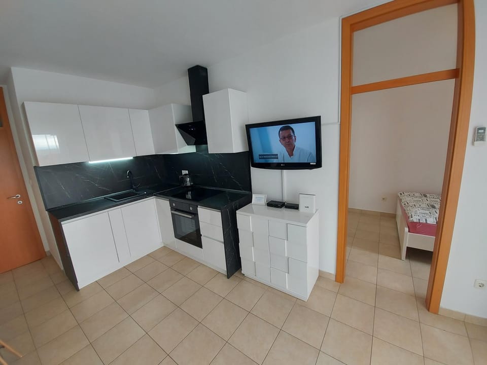 Perfect View Apartment in Novalja