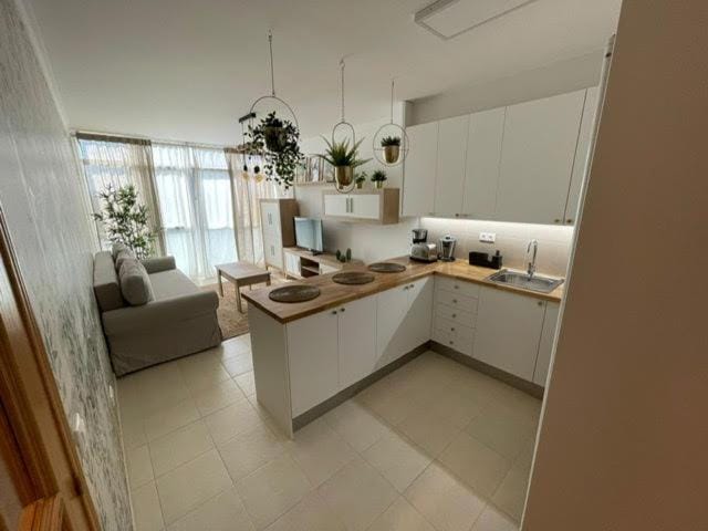 Kitchen or kitchenette, minibar, pet friendly, stove