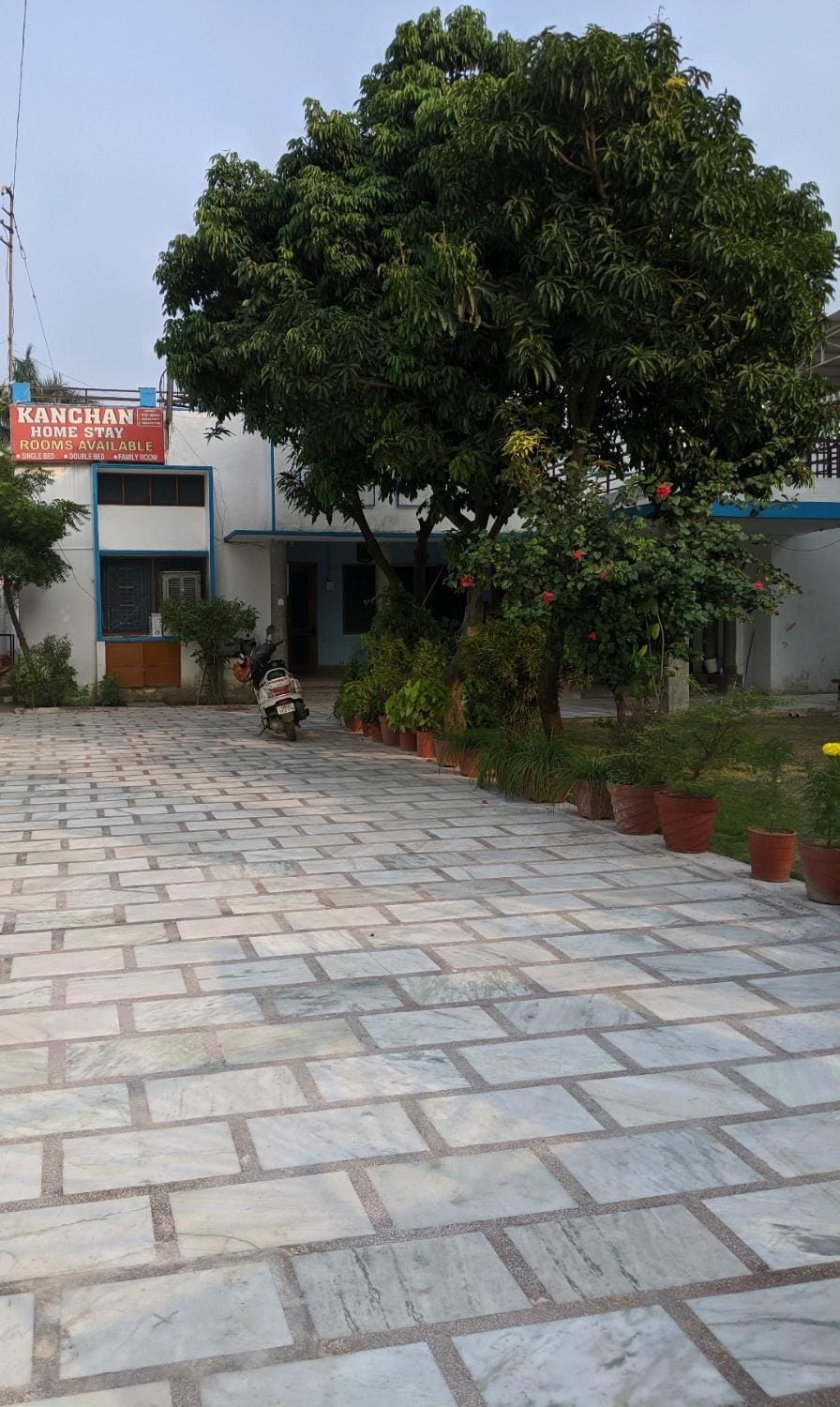 Property building, Garden, Garden view