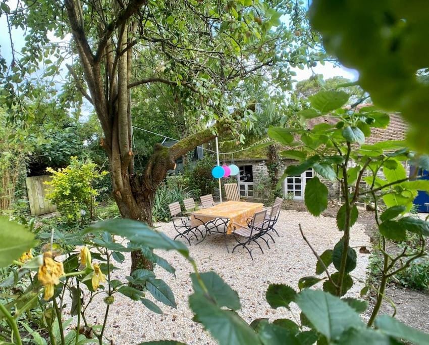 Patio, Garden