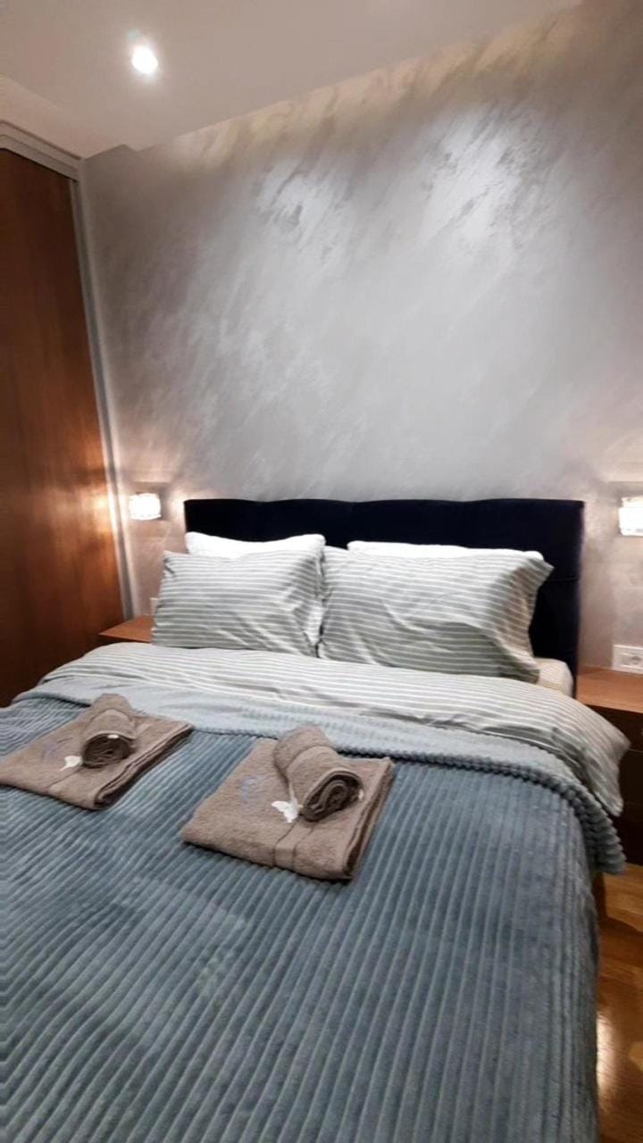 Zlatibor SKAJ&SPA Apartment in Zlatibor