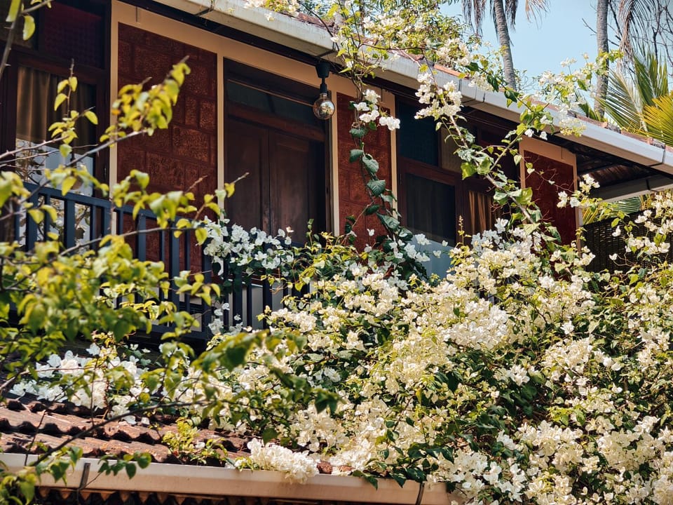 Property building, Spring, Day, Garden, Garden view