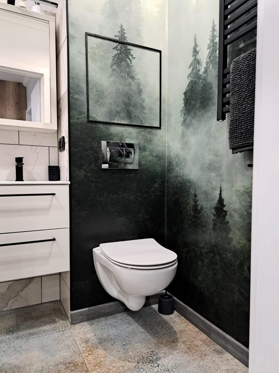 Toilet, Bathroom