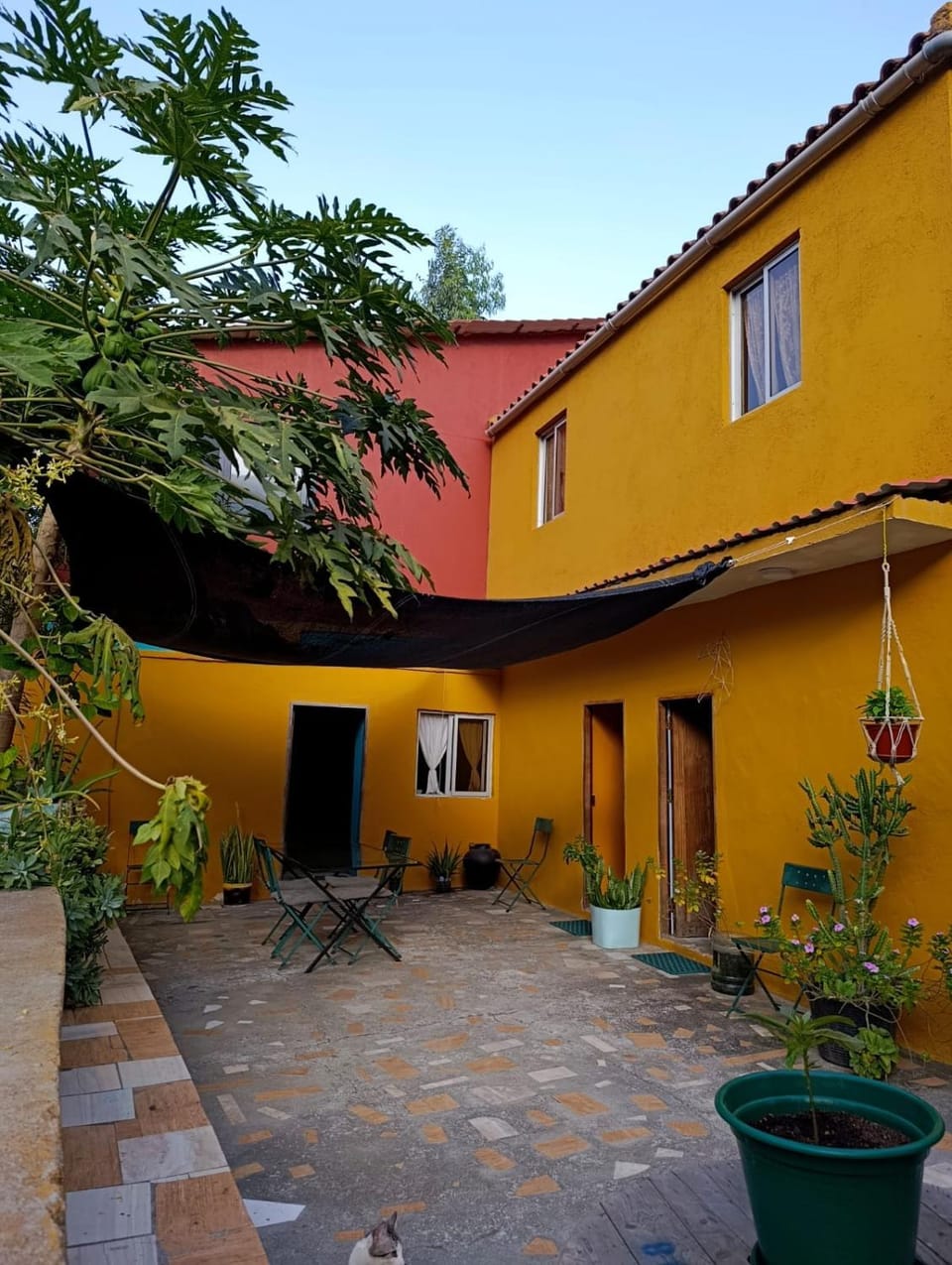 Ecolodge Ribeira Principal House in Cape Verde