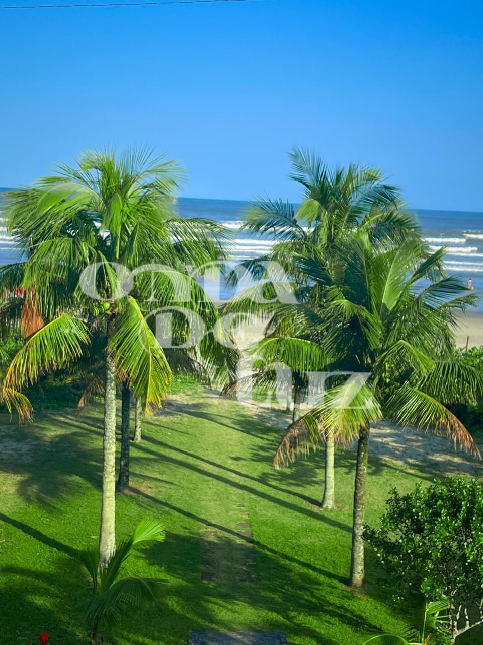 Natural landscape, Garden, Sea view
