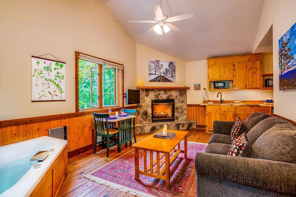 TV and multimedia, Kitchen or kitchenette, Living room, Seating area, Dining area, fireplace