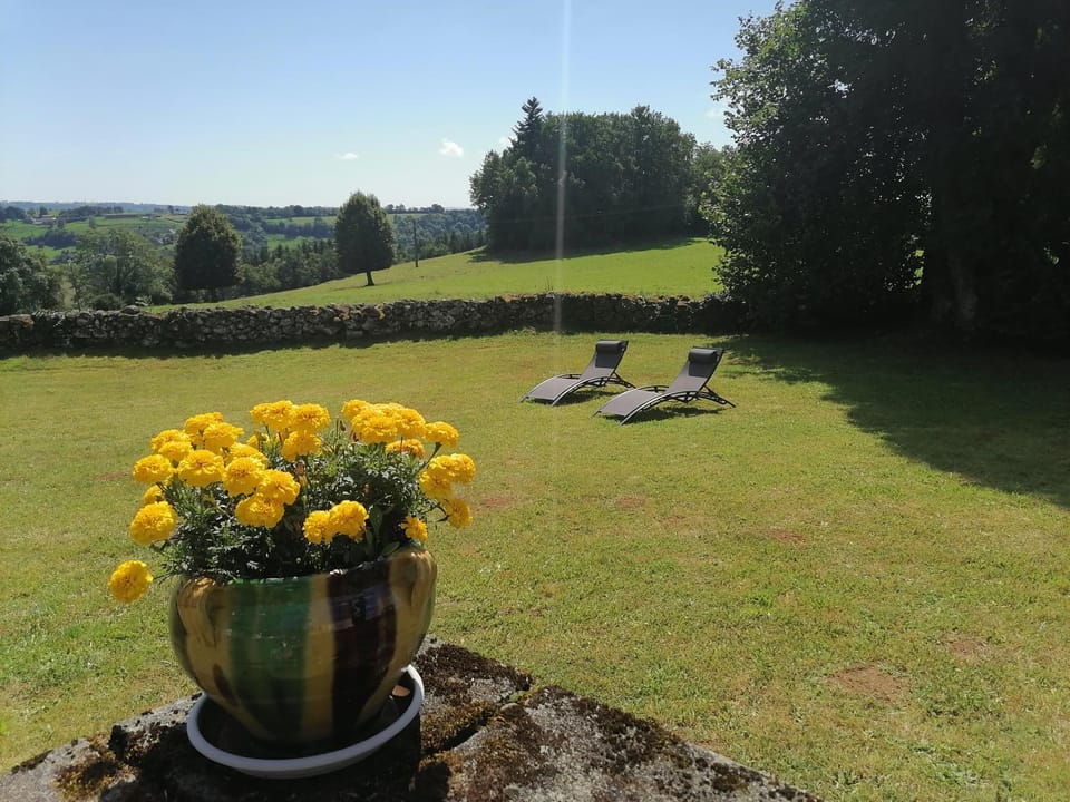 Garden, Garden view