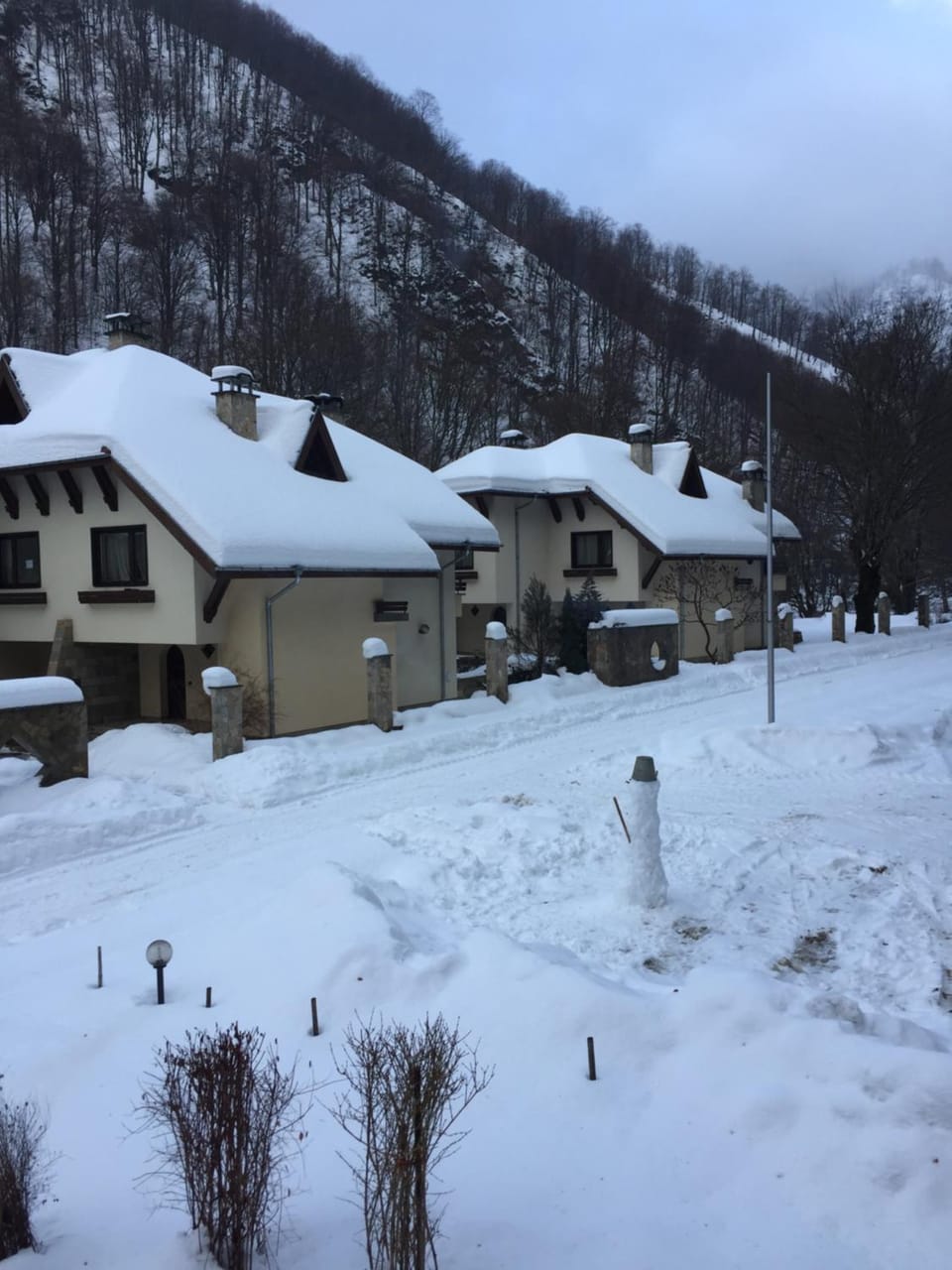 Winter