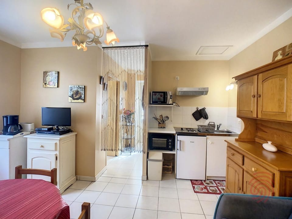 Studio confortable avec WiFi et animaux acceptés, proche de Lamalou-les-Bains - FR-1-451-153 Apartment in Occitanie