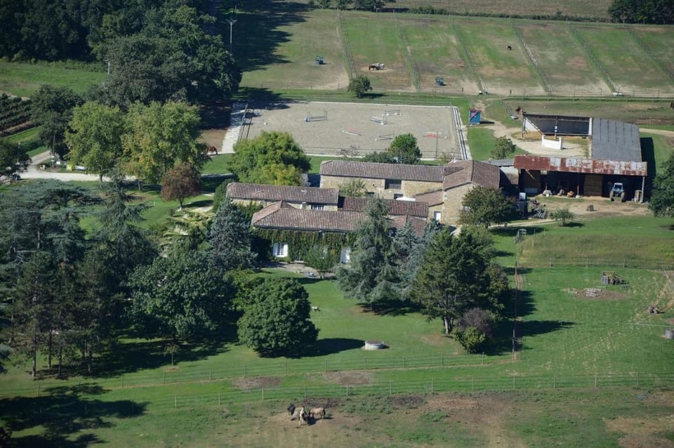 Property building, Bird's eye view