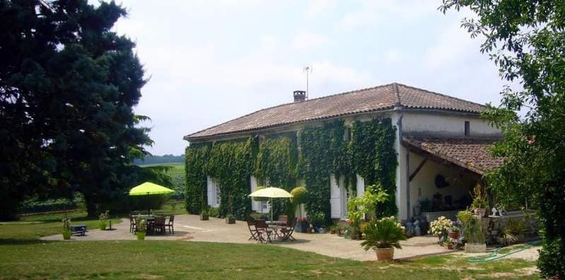 Property building, Garden view
