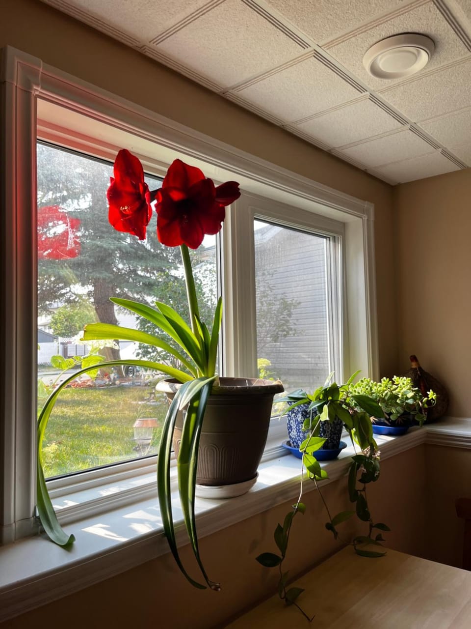 citadel hills valley Vacation rental in Calgary