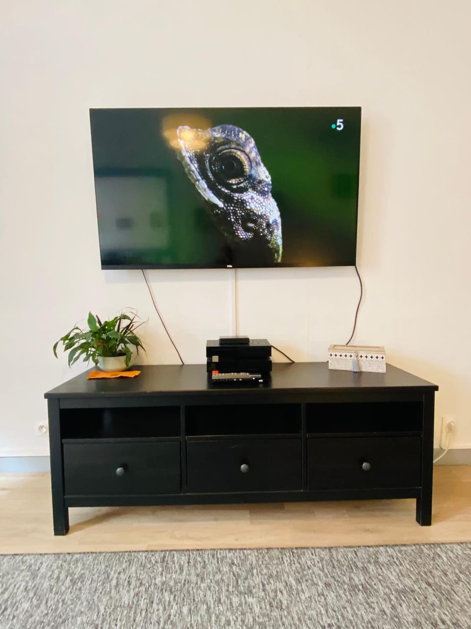 TV and multimedia