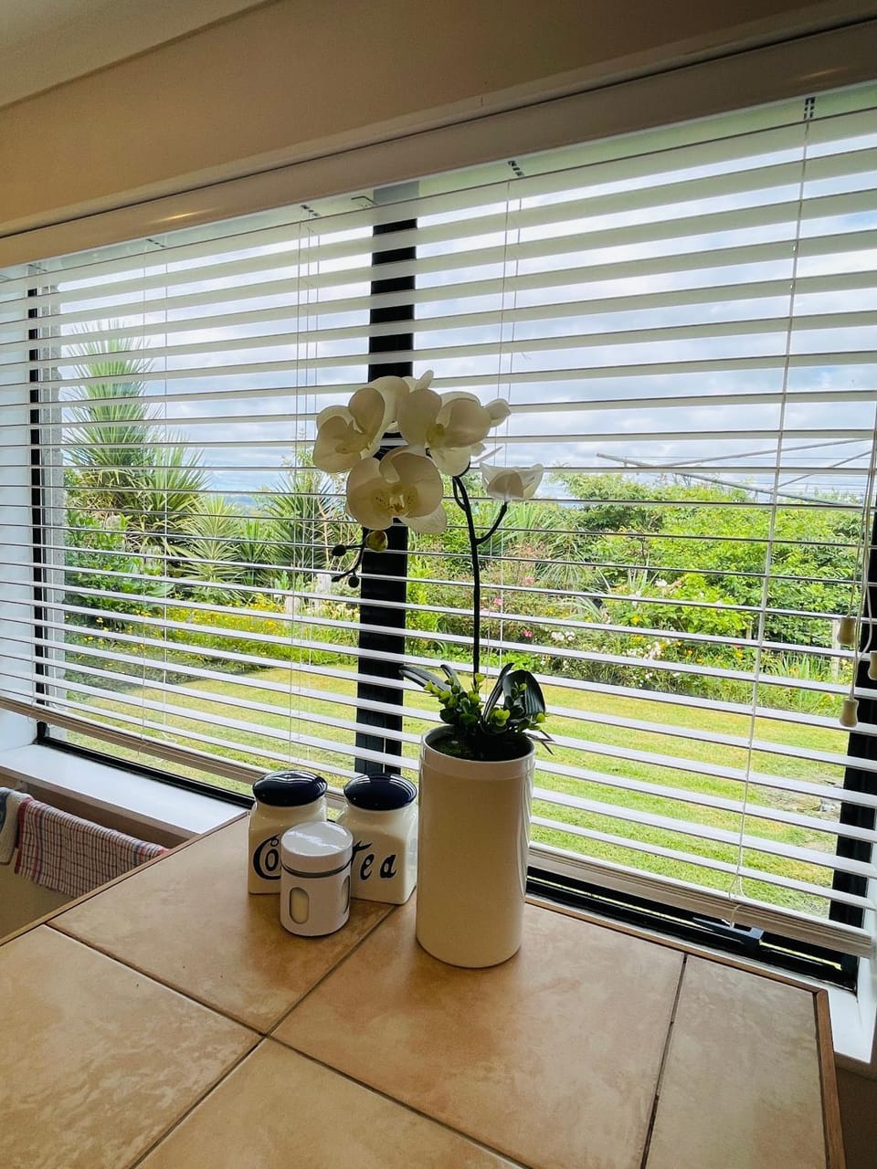 Garden view