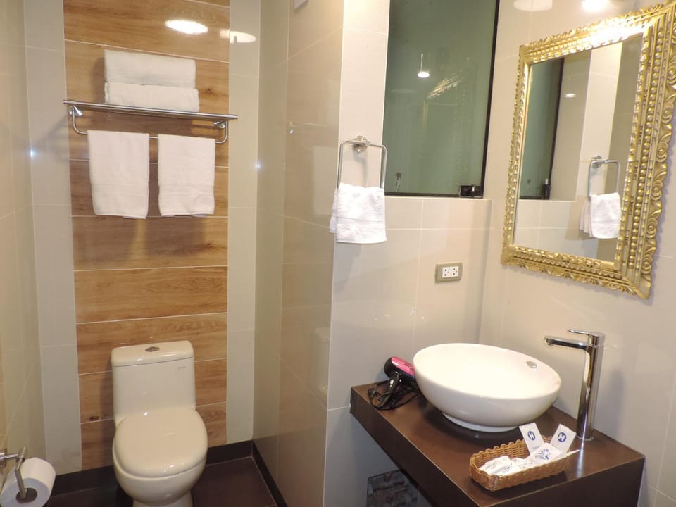 Toilet, Bathroom, towels