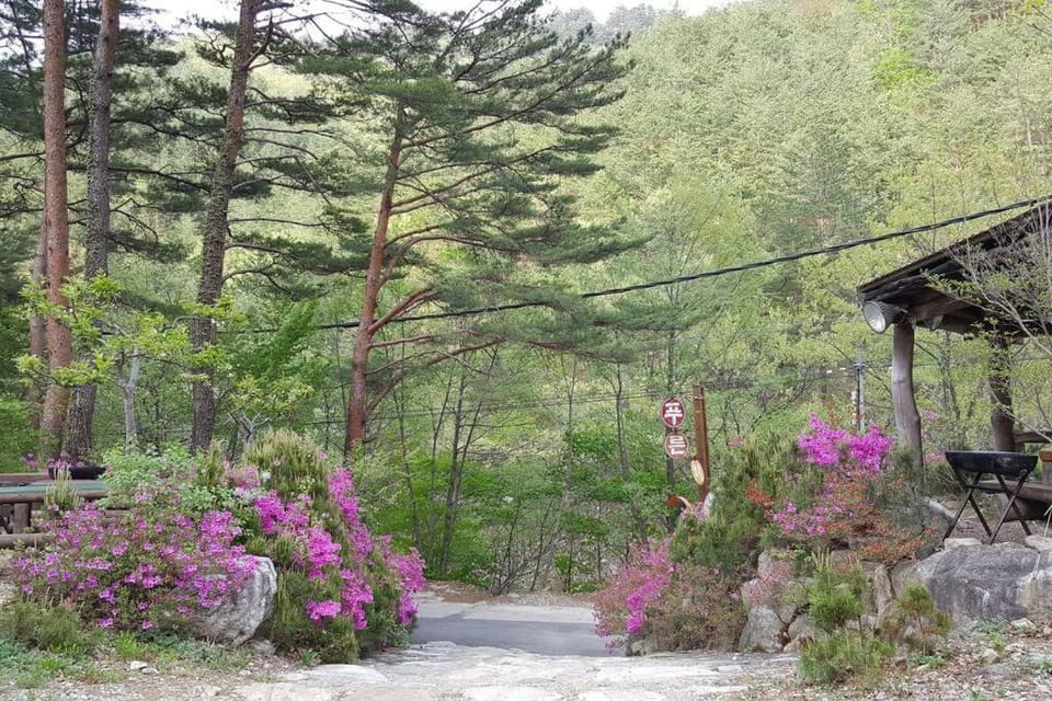 Natural landscape