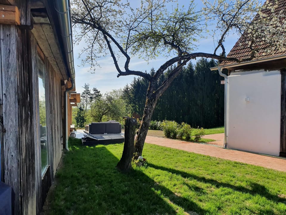 Patio, Spring, Garden, Garden, Inner courtyard view, Internal: Not applicable to any particular room