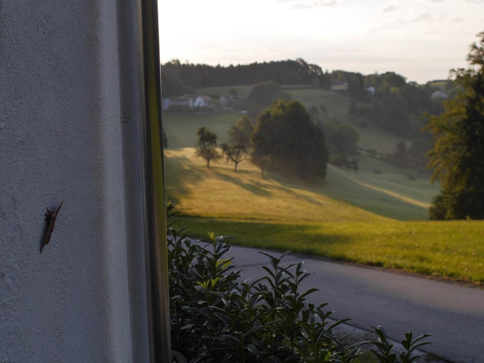 Natural landscape, View (from property/room)