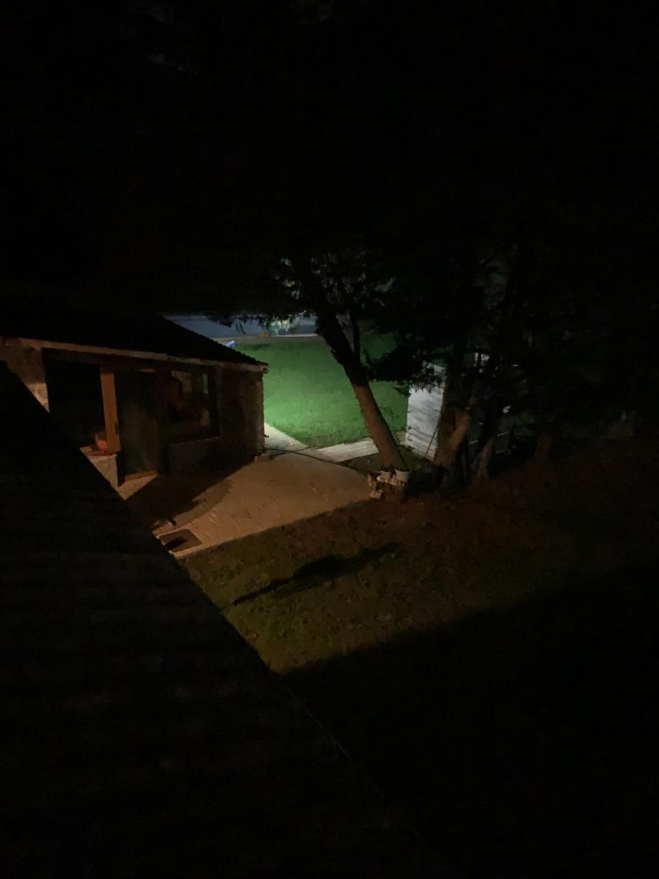 Night