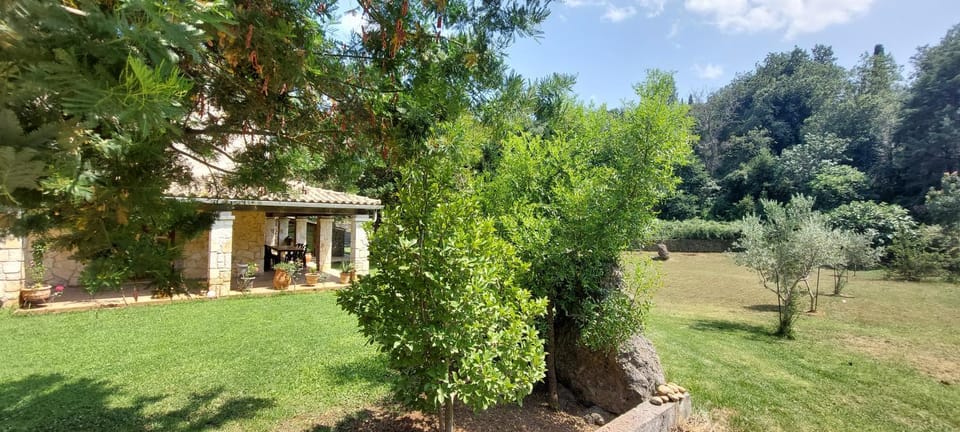 Natural landscape, Garden