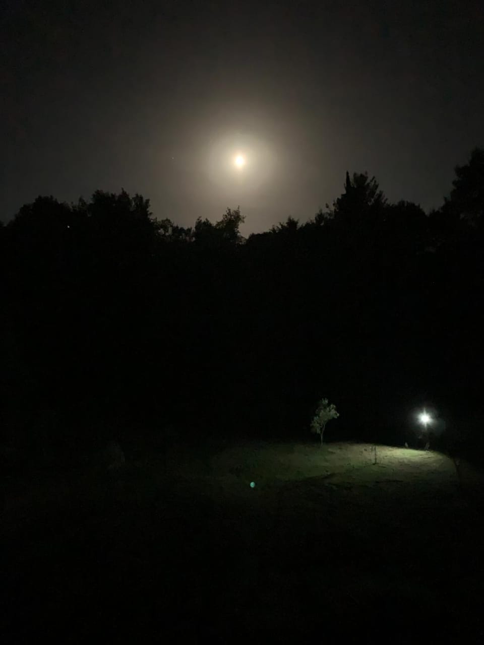 Night