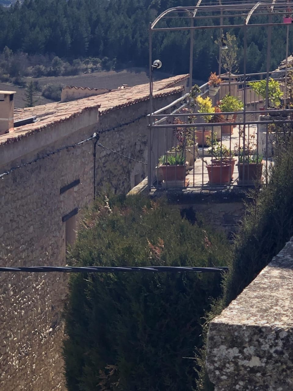 View (from property/room)