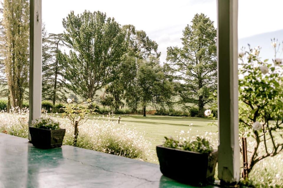 Patio, Garden, Garden view