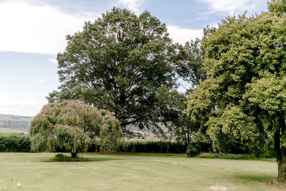 Garden, View (from property/room), Garden view