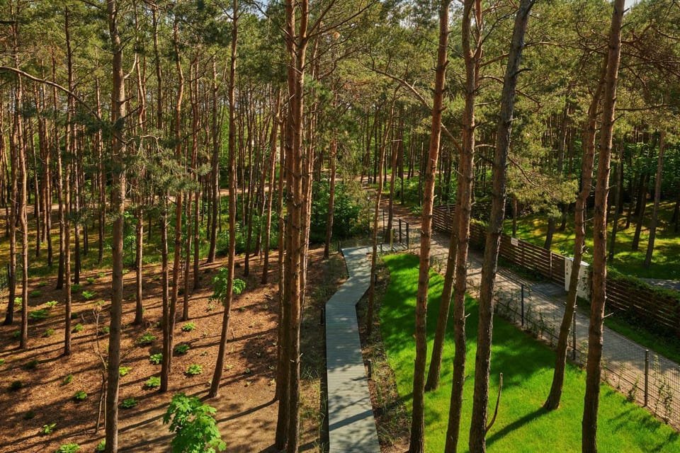 Spring, Day, Natural landscape, Garden, Garden view