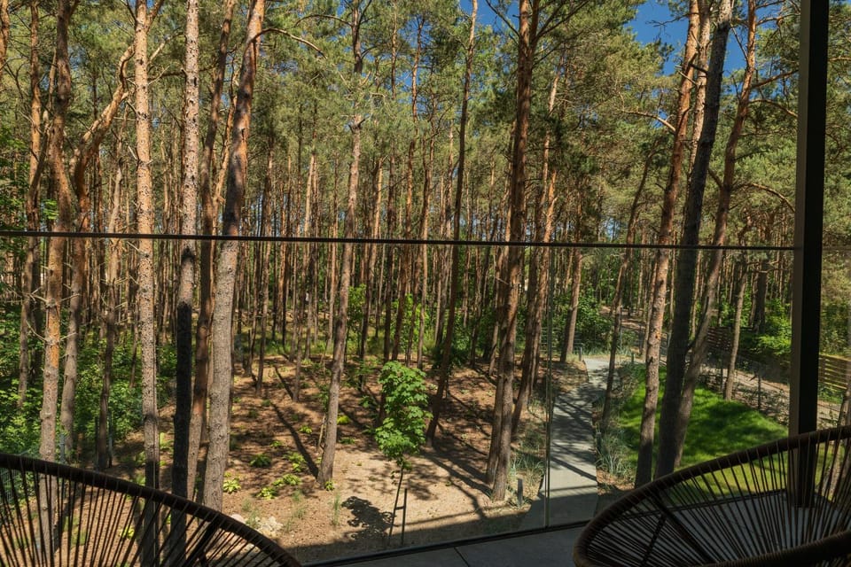 Spring, Day, Natural landscape, Balcony/Terrace