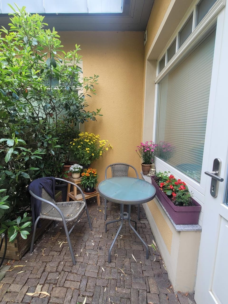 Fewo 4 Apartment in Dresden