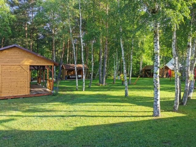 Natural landscape, Garden, Garden view