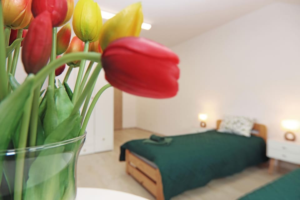 Centrum Edukacji Ekologiczno-Turystycznej Resort in Slovakia
