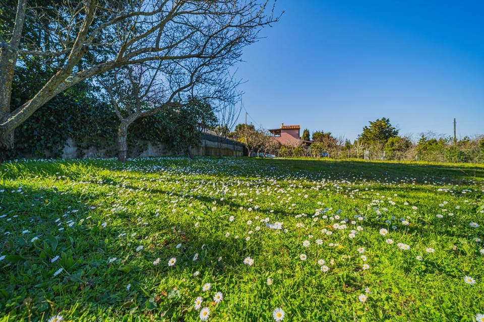 Day, Natural landscape, Garden, Garden view