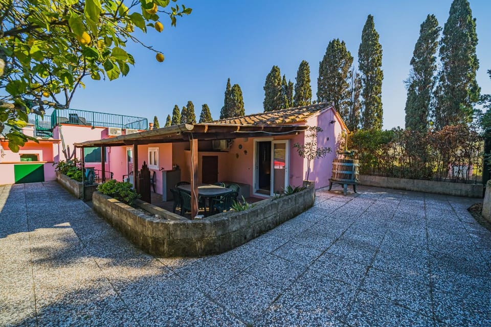 Property building, Day, Garden, Garden view