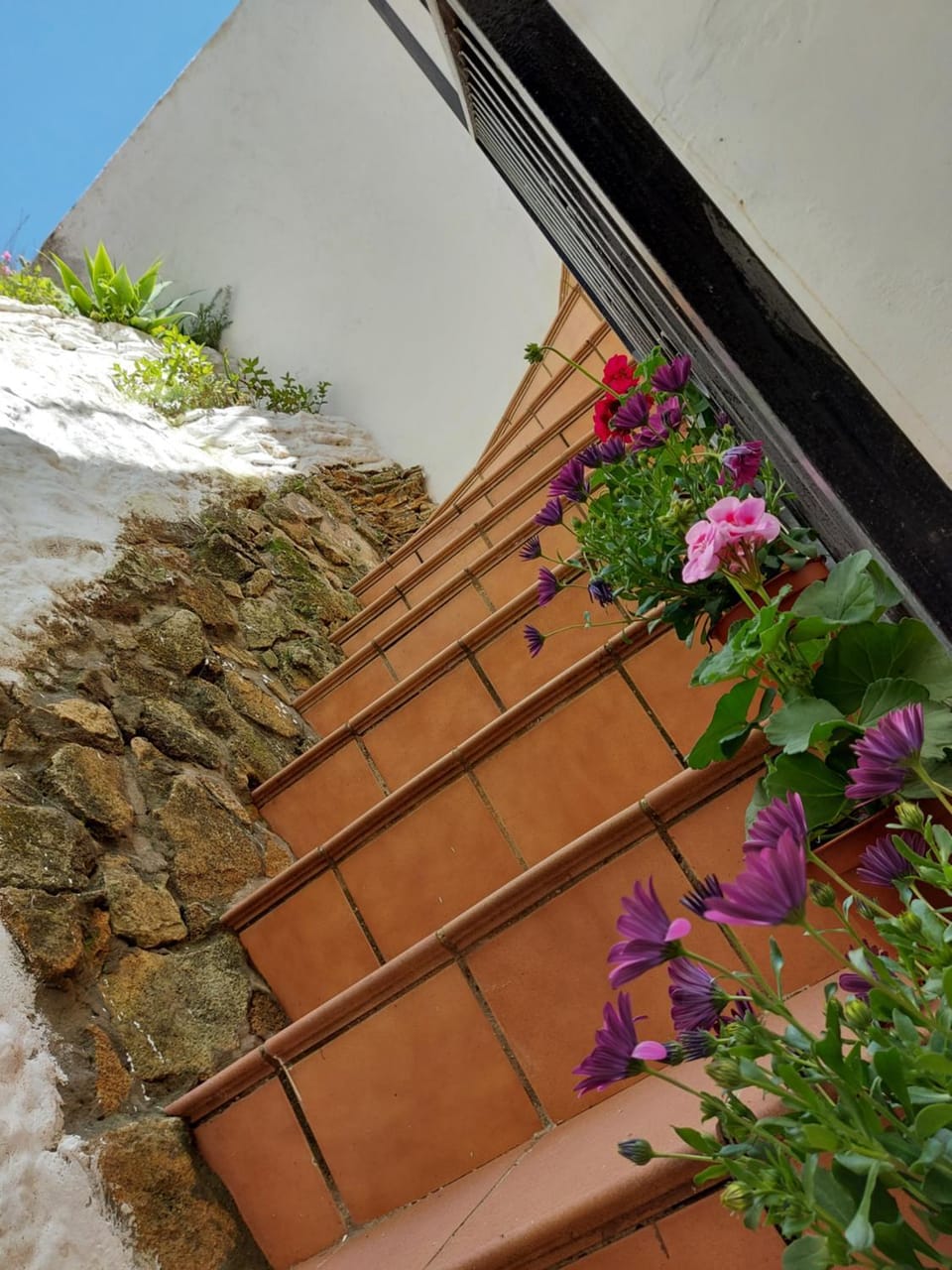 CASA LA ABUELA REMEDIOS House in Sierra de Cádiz