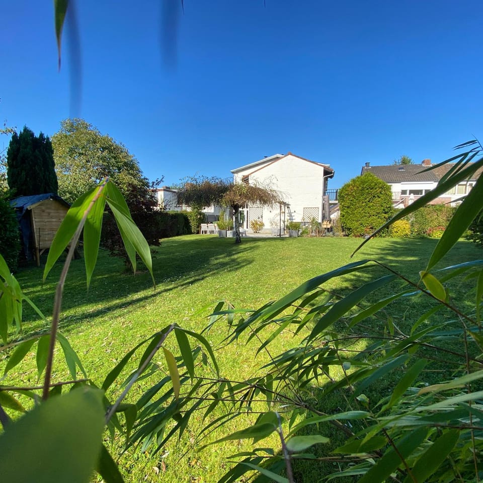 Property building, Garden, Garden