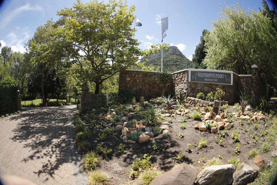 Property building, Natural landscape, Garden, Garden