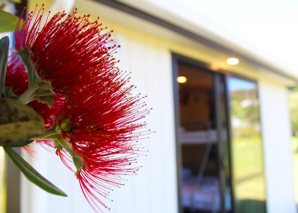 Day, Garden, Garden view