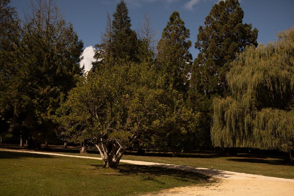 Natural landscape