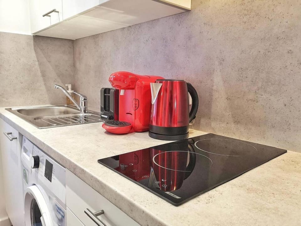 Rosa Maria Studio Centre ville Mulhouse Apartment in Mulhouse