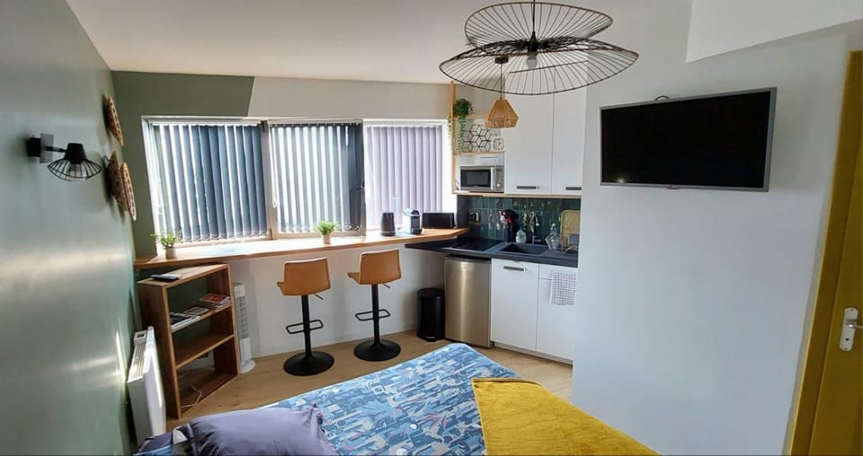 Bed, TV and multimedia, Kitchen or kitchenette, Photo of the whole room, Dining area