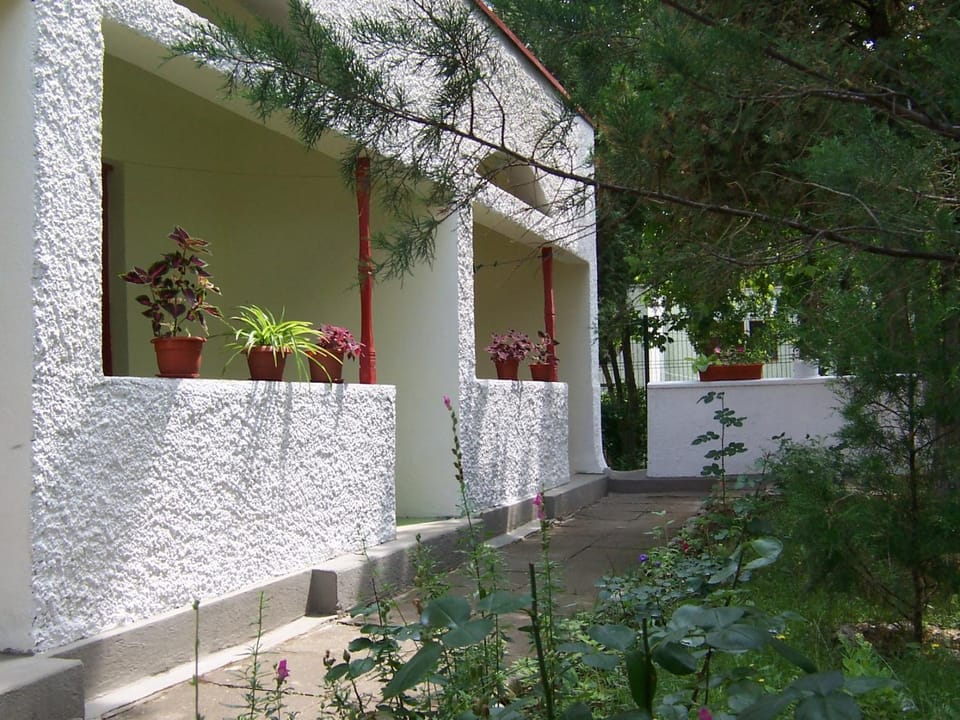 Facade/entrance, Garden
