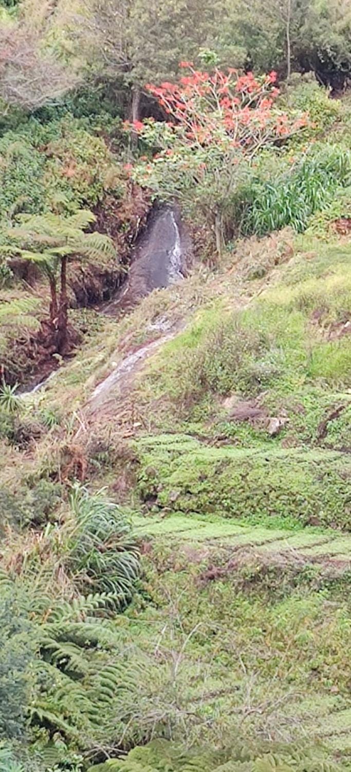 Bogar Palace Kodaikanal Hotel in Kodaikanal