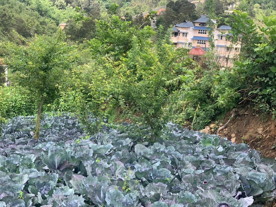 Bogar Palace Kodaikanal Hotel in Kodaikanal