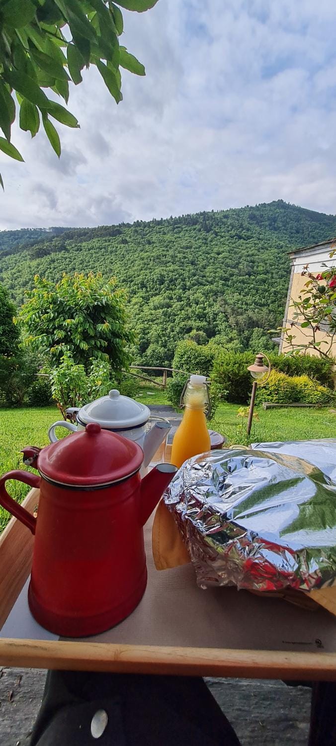 Apartamentos Rurales El Bosque de las Viñas Apartment in Asturias