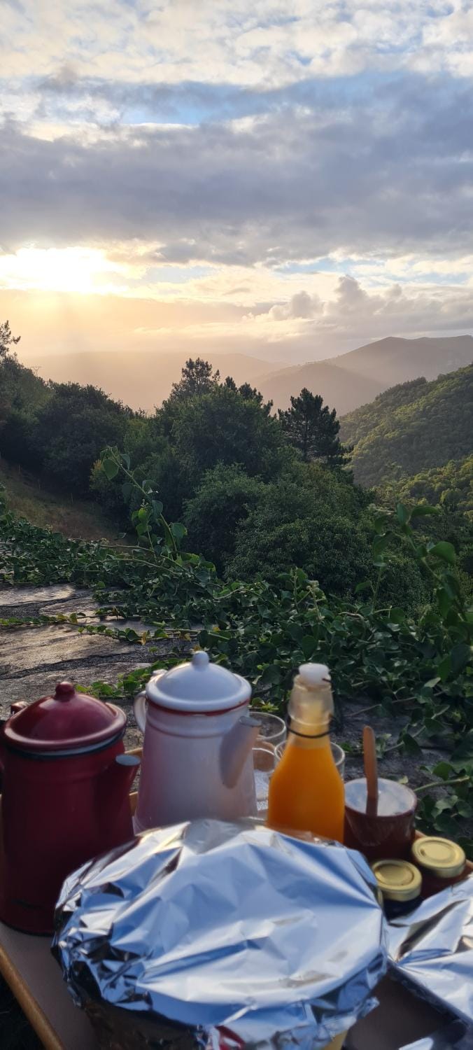 Apartamentos Rurales El Bosque de las Viñas Apartment in Asturias