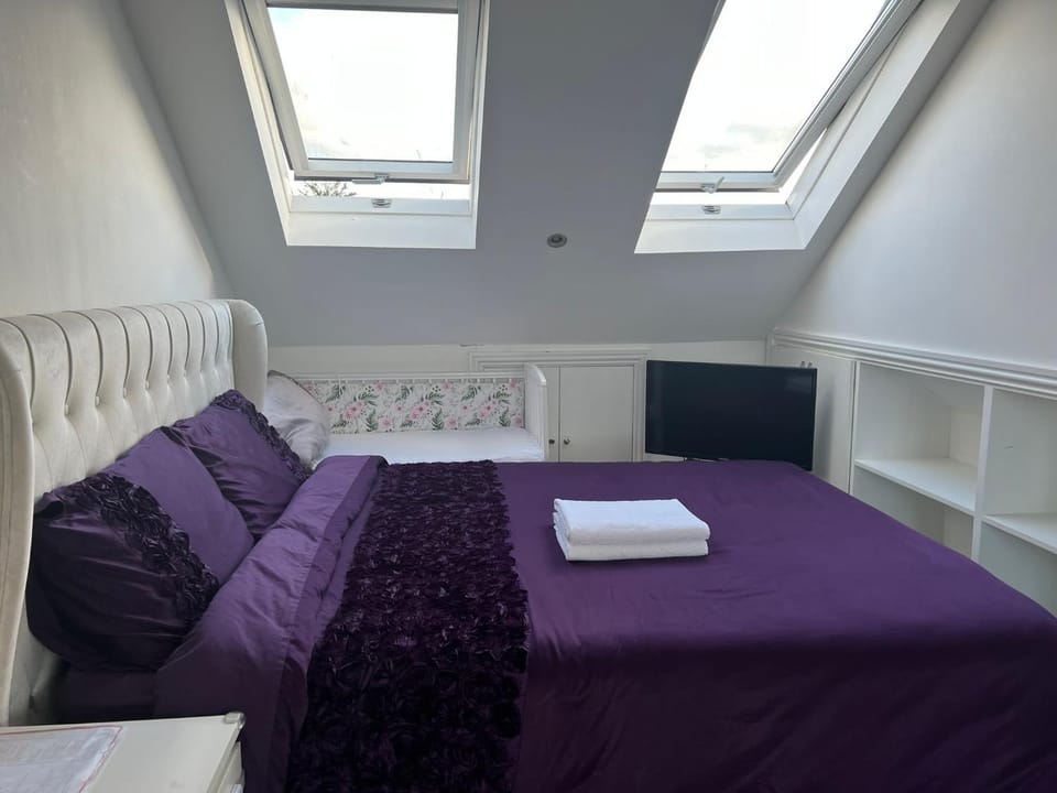 Deluxe Homestay near Tottenham Hotspur Stadium Vacation rental in London
